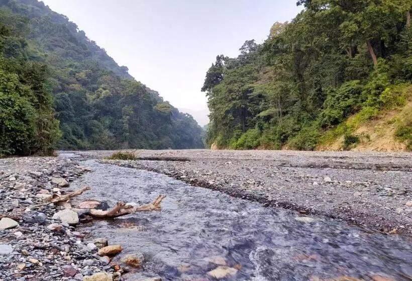 هتل The Glasshouse