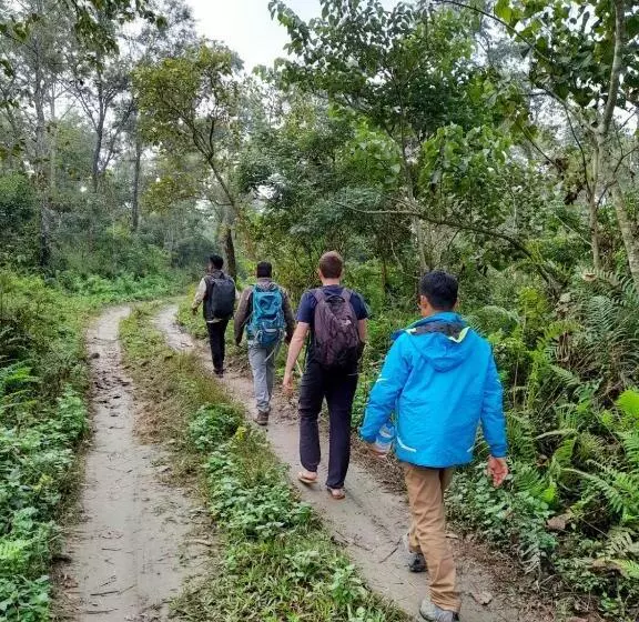 هتل The Glasshouse