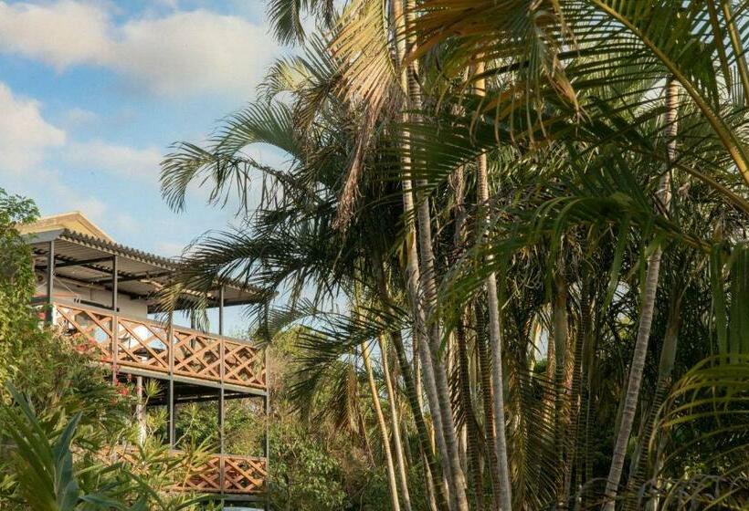 Mambo Hostel Okinawa