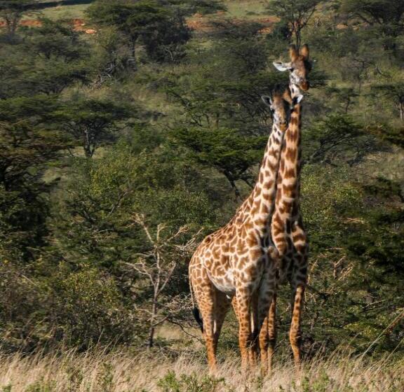 پانسیون Masai Heritage Homes