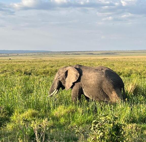 پانسیون Masai Heritage Homes
