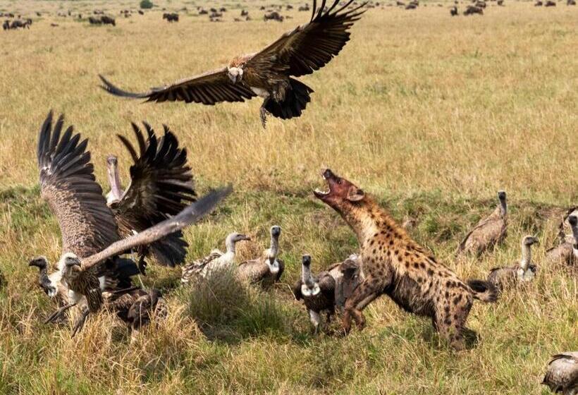 پانسیون Masai Heritage Homes