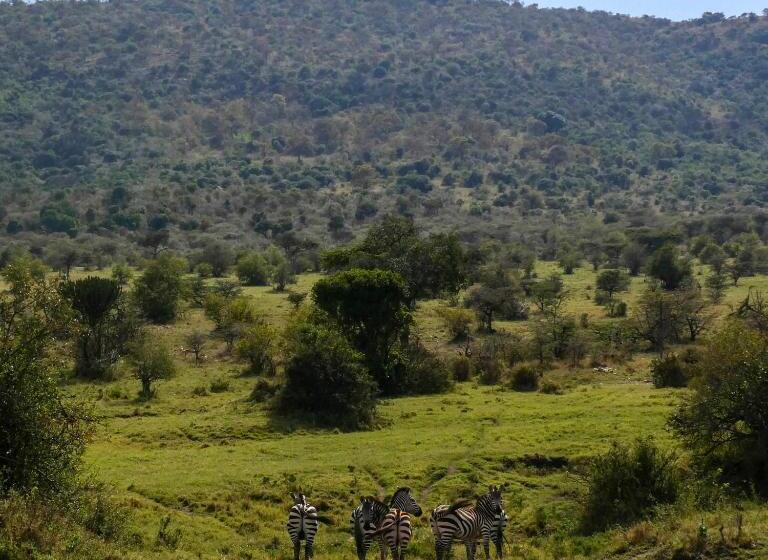 پانسیون Masai Heritage Homes
