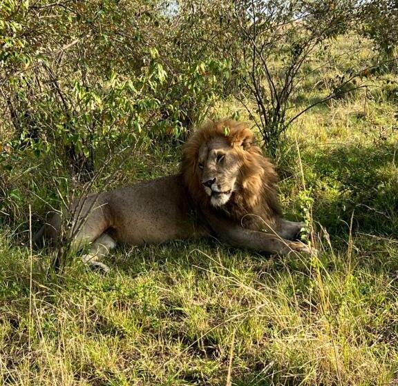 پانسیون Masai Heritage Homes