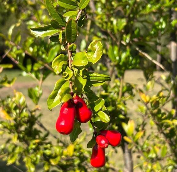 پانسیون Masai Heritage Homes