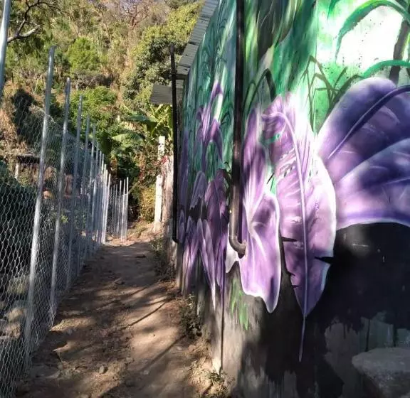 هاستل Casa Ahau