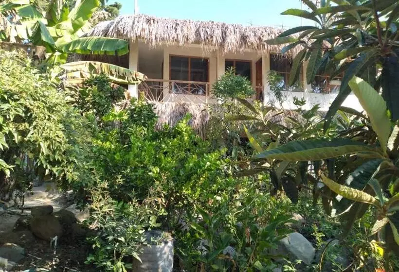 هاستل Casa Ahau