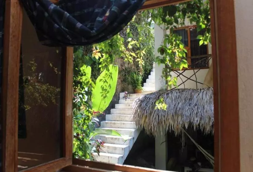 هاستل Casa Ahau