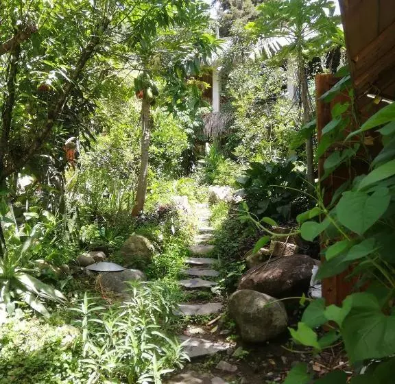 هاستل Casa Ahau