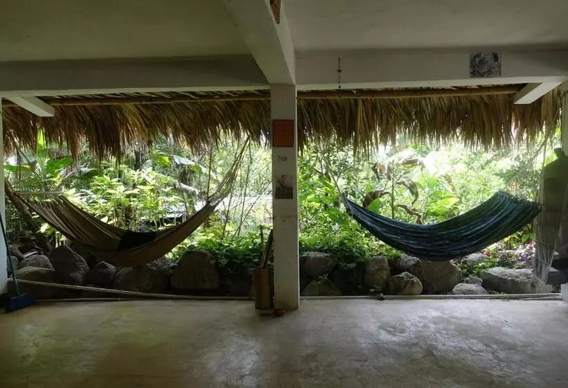 هاستل Casa Ahau