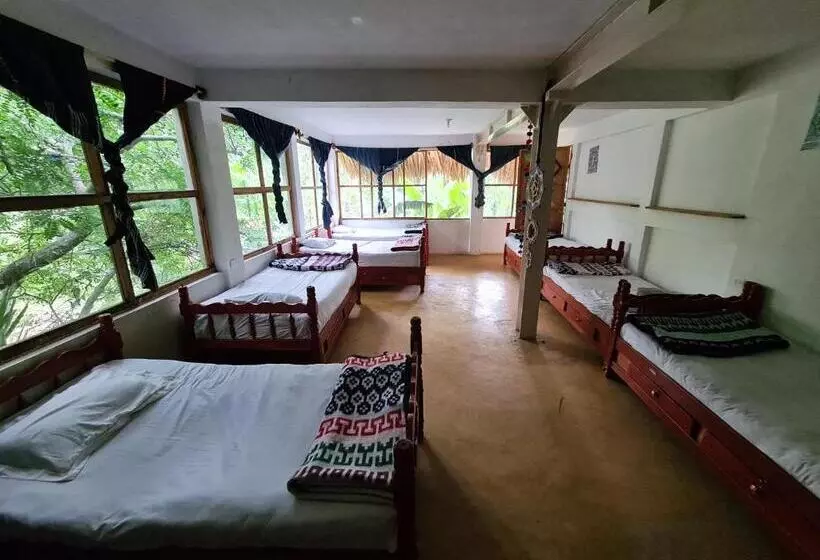 هاستل Casa Ahau