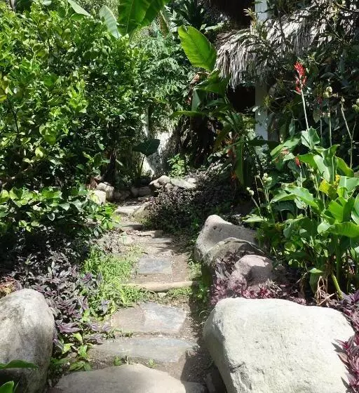 هاستل Casa Ahau