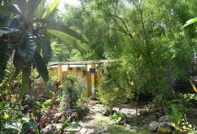 هاستل Casa Ahau