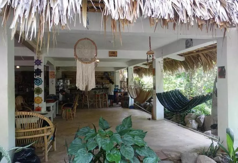 هاستل Casa Ahau