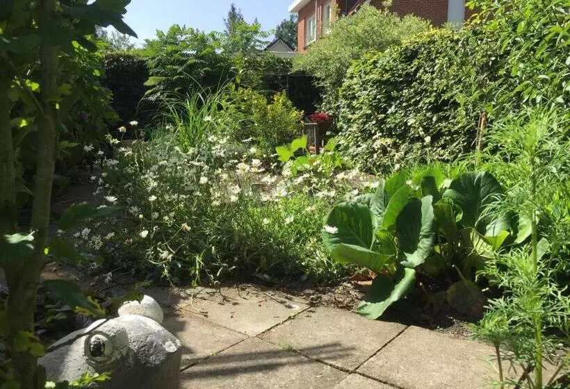 B&b  T Gezellig Huizeke