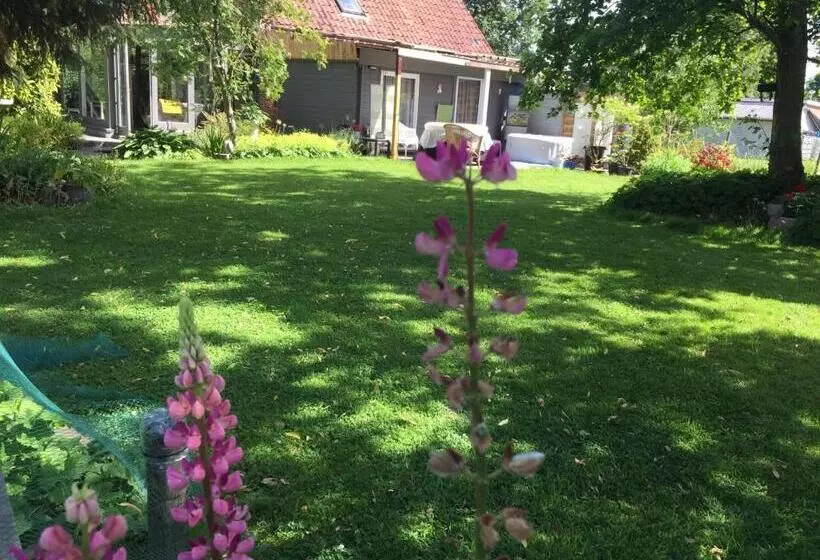 B&b  T Gezellig Huizeke