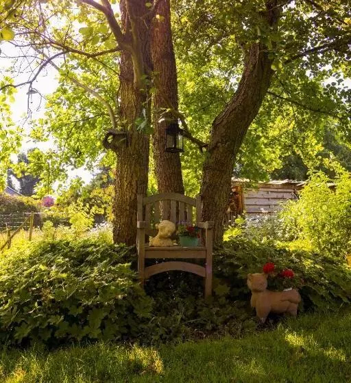 B&b  T Gezellig Huizeke
