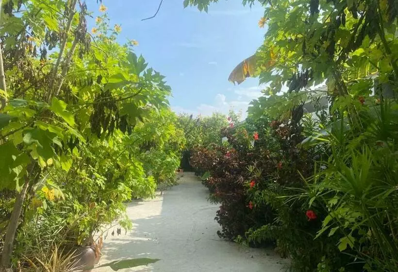 پانسیون Coral Castle   Goidhoo Maldives