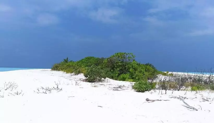 پانسیون Dhooni Finolhu Guesthouse