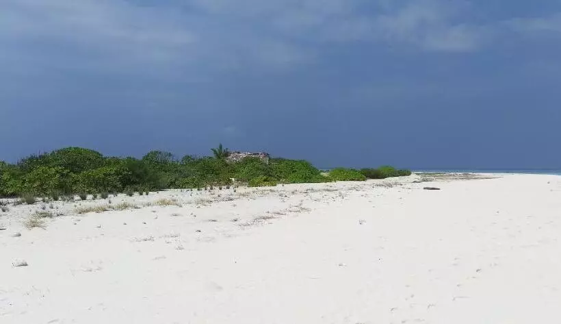 پانسیون Dhooni Finolhu Guesthouse