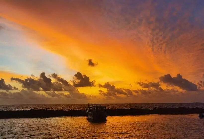 پانسیون Dhooni Finolhu Guesthouse