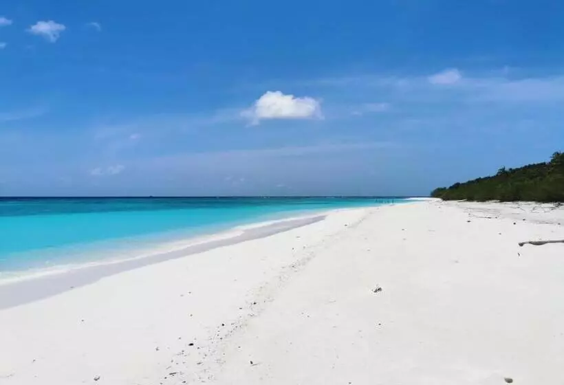 پانسیون Dhooni Finolhu Guesthouse