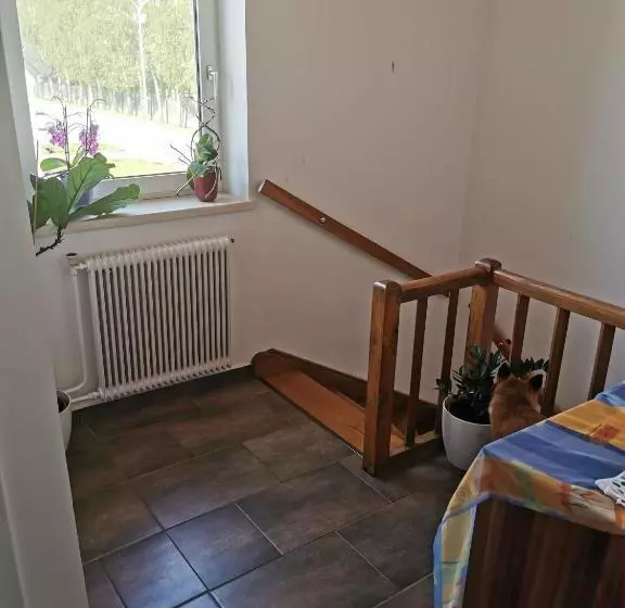 ペンション Ferienwohnung Solebad
