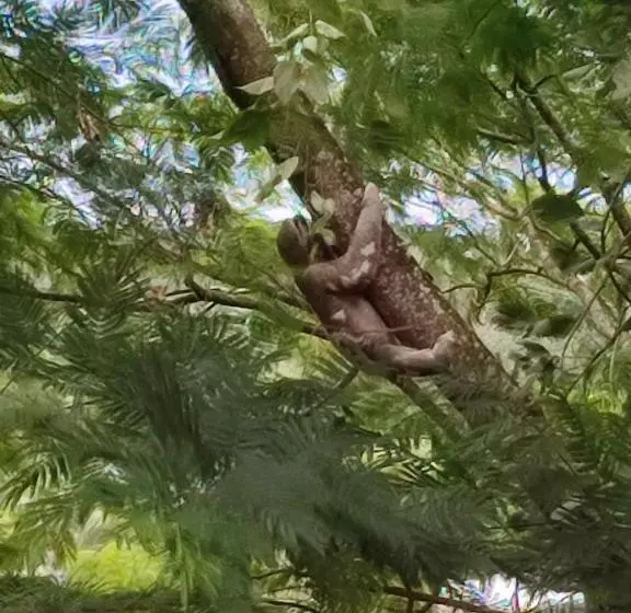 Retkeilymaja Majacho`s House