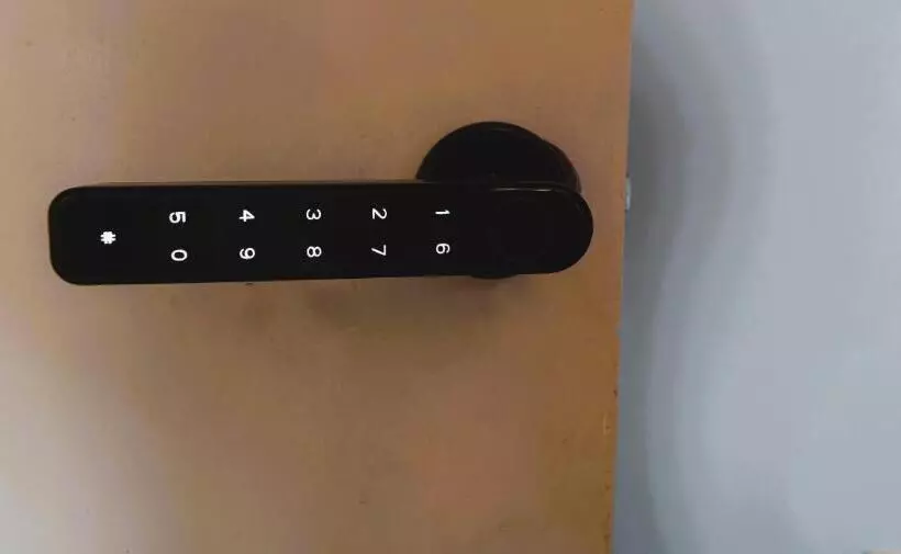 ベッドアンドブレックファースト Botanic Rooms