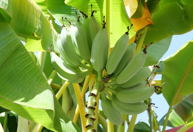 בית מלון כפרי Seascape Vila