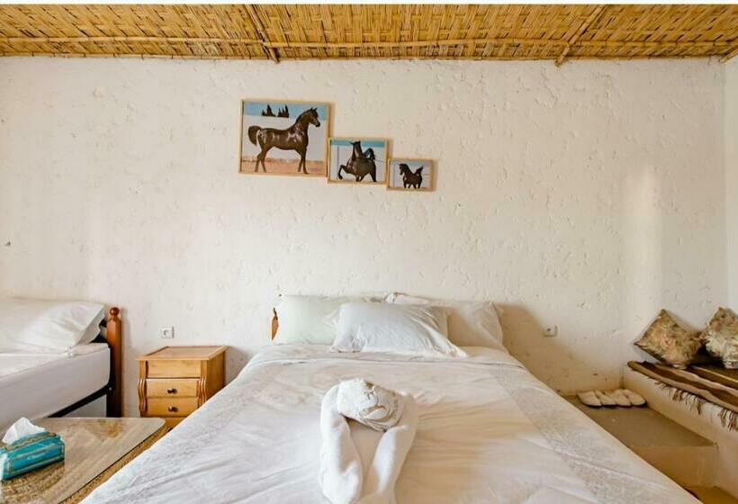 ホテル Elaaz Horse Farm