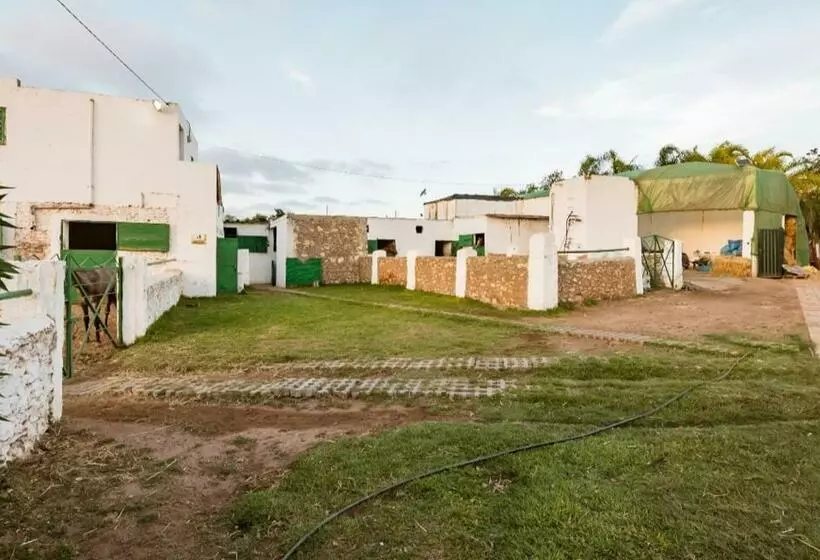 ホテル Elaaz Horse Farm