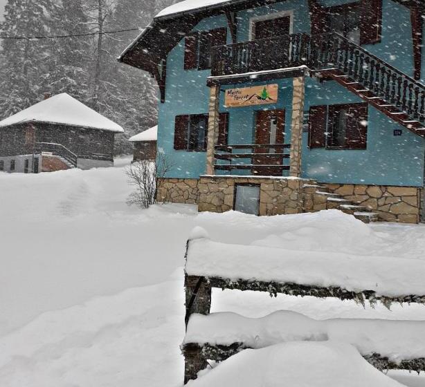 Mystic Forest Hostel