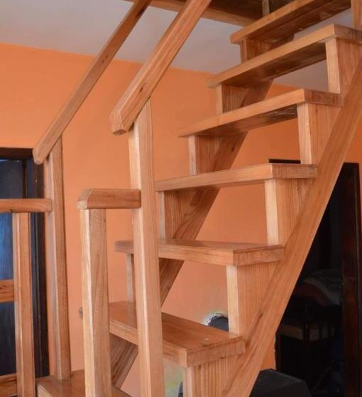 Mystic Forest Hostel