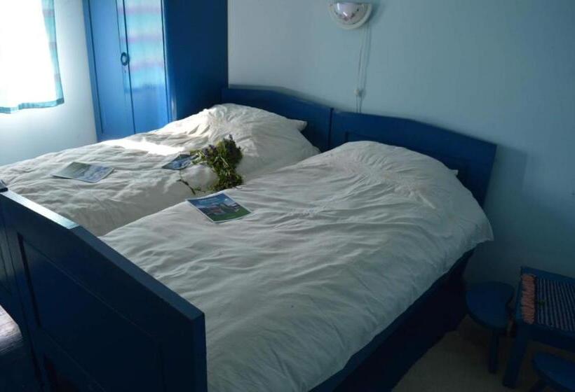 Mystic Forest Hostel