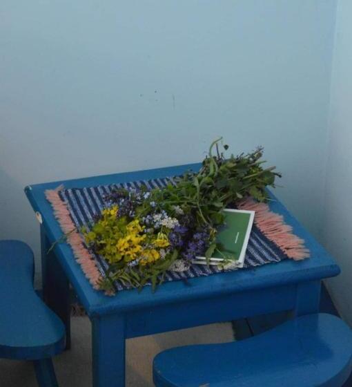 Mystic Forest Hostel