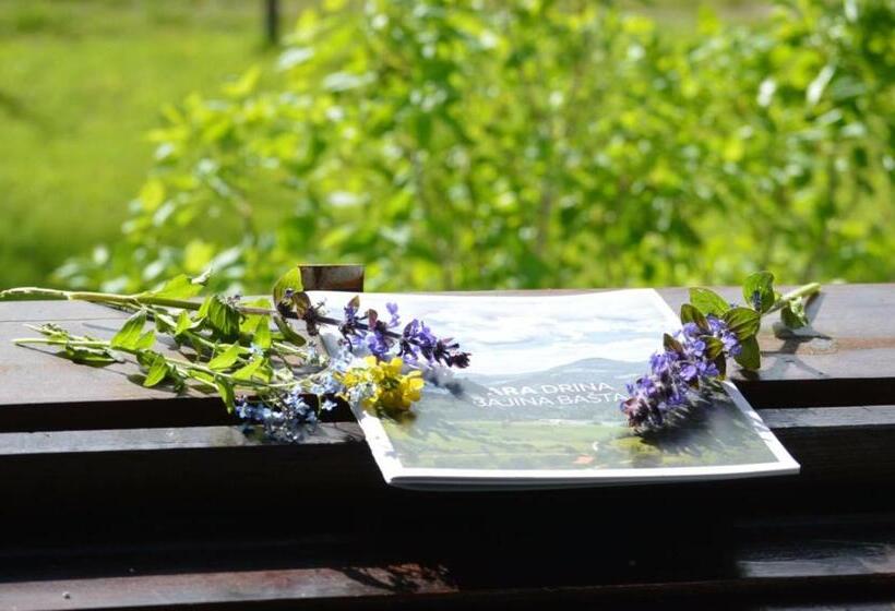 Mystic Forest Hostel