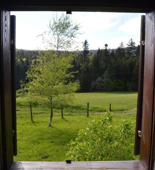 Mystic Forest Hostel