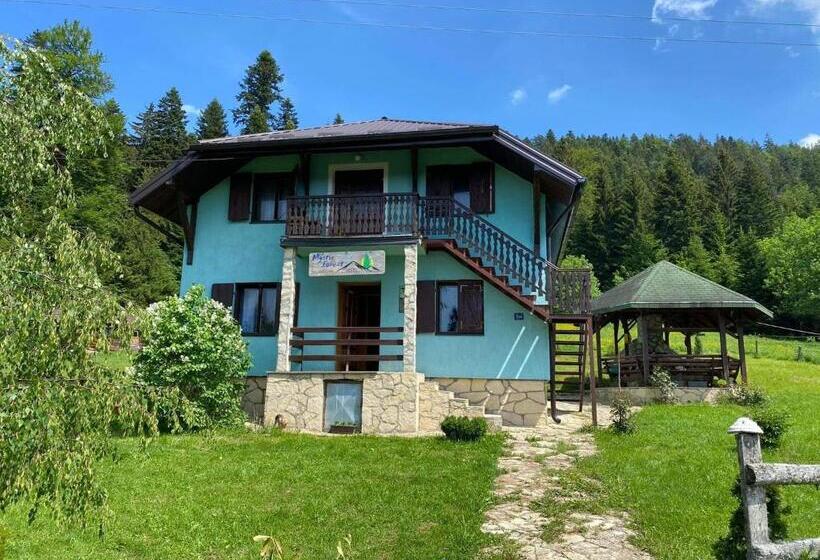 Mystic Forest Hostel