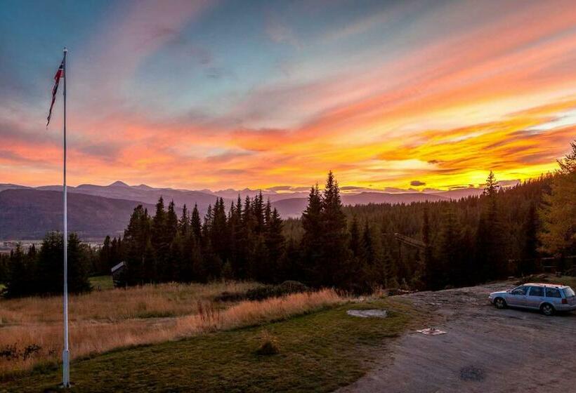 Общежитие Tronsvangen Seter