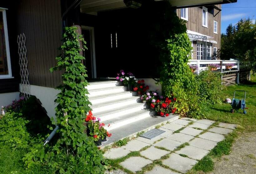 Общежитие Tronsvangen Seter