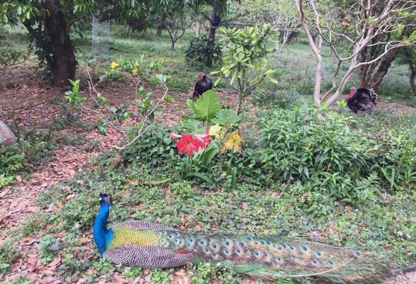 تختخواب و صبحانه 拇指園民宿