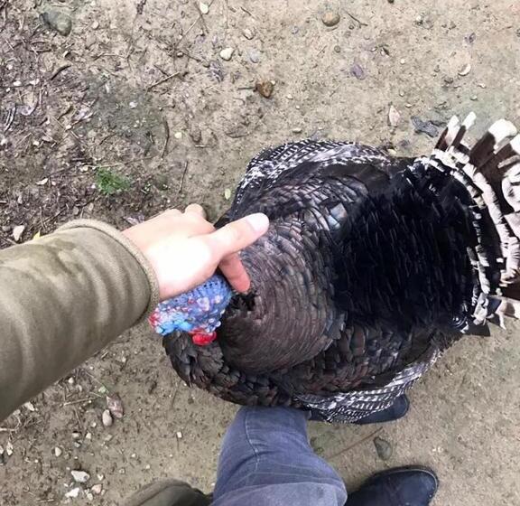 تختخواب و صبحانه 拇指園民宿