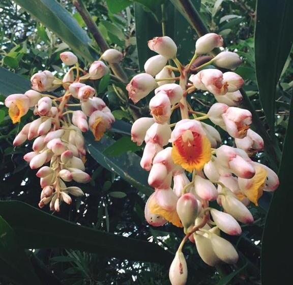 تختخواب و صبحانه 拇指園民宿