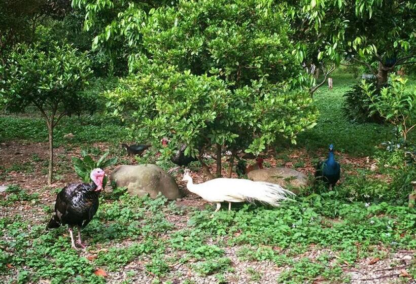 تختخواب و صبحانه 拇指園民宿