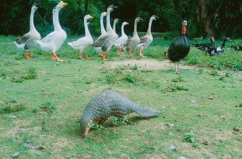 تختخواب و صبحانه 拇指園民宿