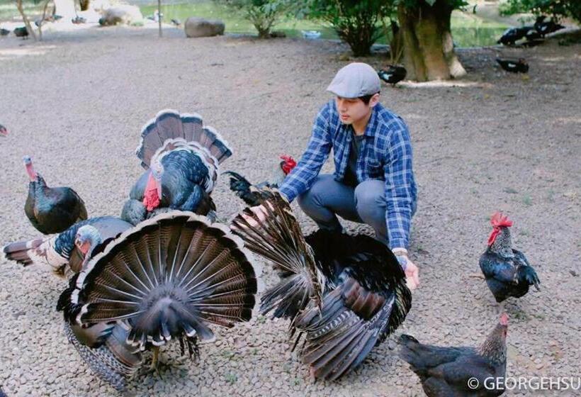 تختخواب و صبحانه 拇指園民宿