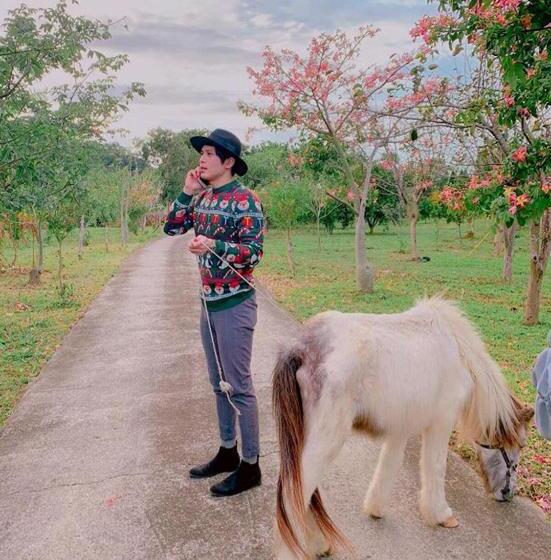 تختخواب و صبحانه 拇指園民宿