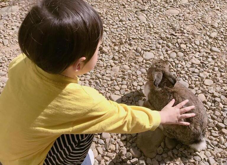 تختخواب و صبحانه 拇指園民宿