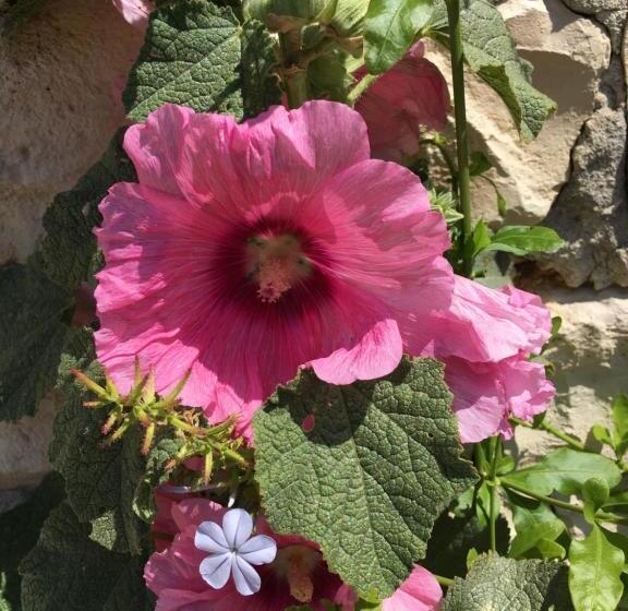Bed and Breakfast Le Soleil Do  Ré
